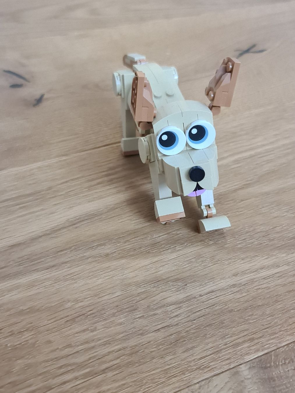 Lego Giocattoli: Lego Hunde – Usato da Bühler venduto da tab_vz9h 2