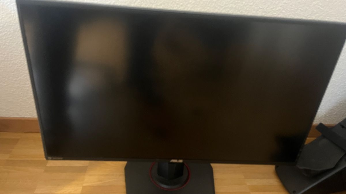 Monitor: Asus Monitor – Usato da Ebikon venduto da Gismo0