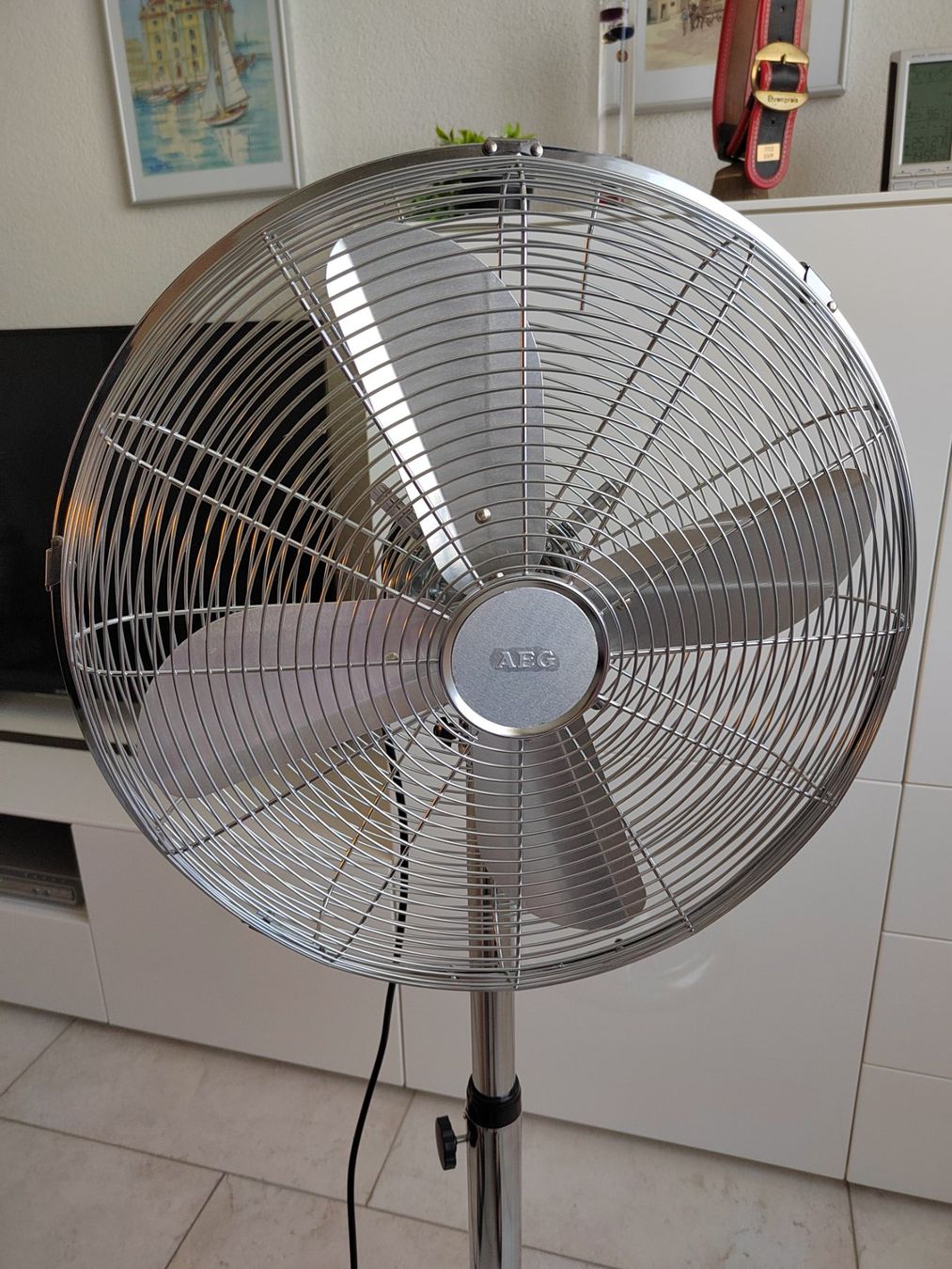 Ventilatori: Stand-Ventilator neuwertig – Usato da Münsingen venduto da Wullemus 3