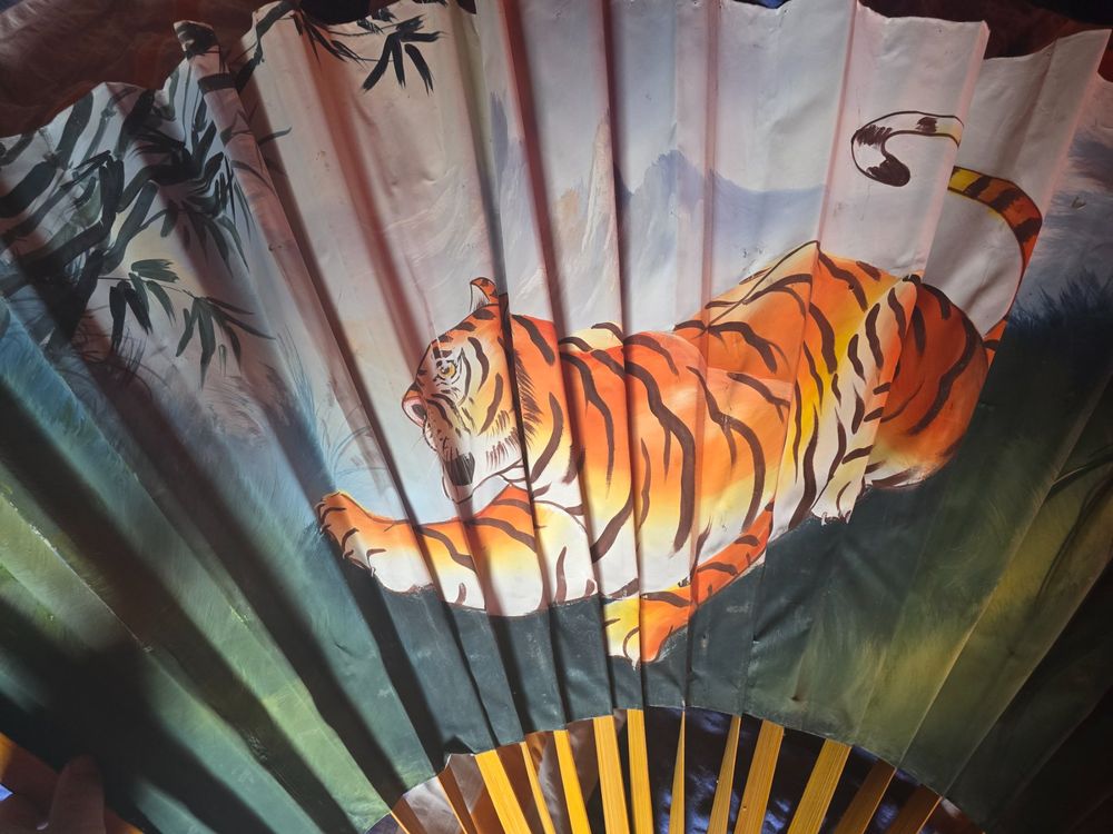Tutte le decorazioni: Tiger Fächer – Usato da triesenberg venduto da wisi369