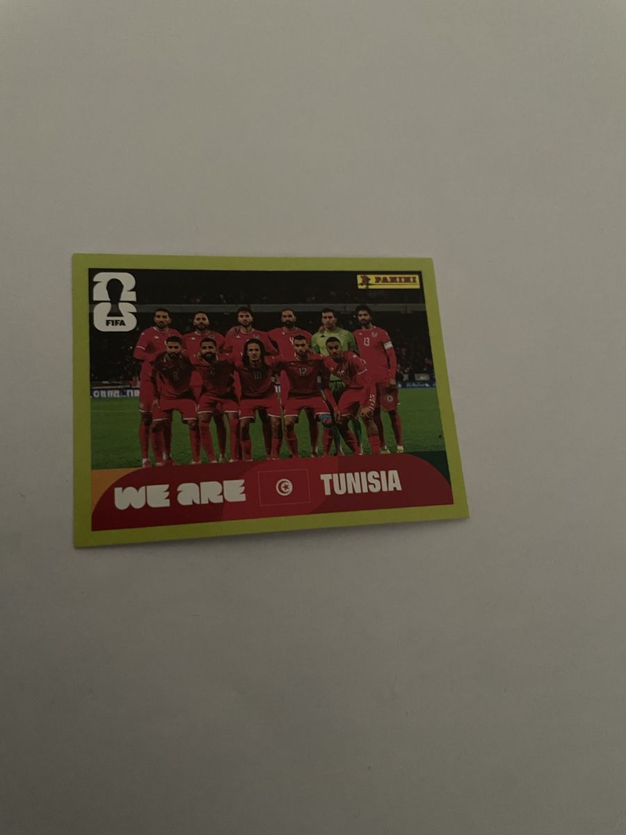 Panini Carte collezionabili: FIFA WE ARE Tunesien TUN 13 – Nuovo (secondo la descrizione) da Winterthur venduto da Cobraforce