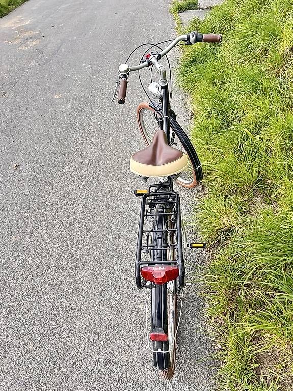 Villiger Biciclette: Villiger Chur Damenvelo – Usato da Oberösch venduto da Neo_07 2