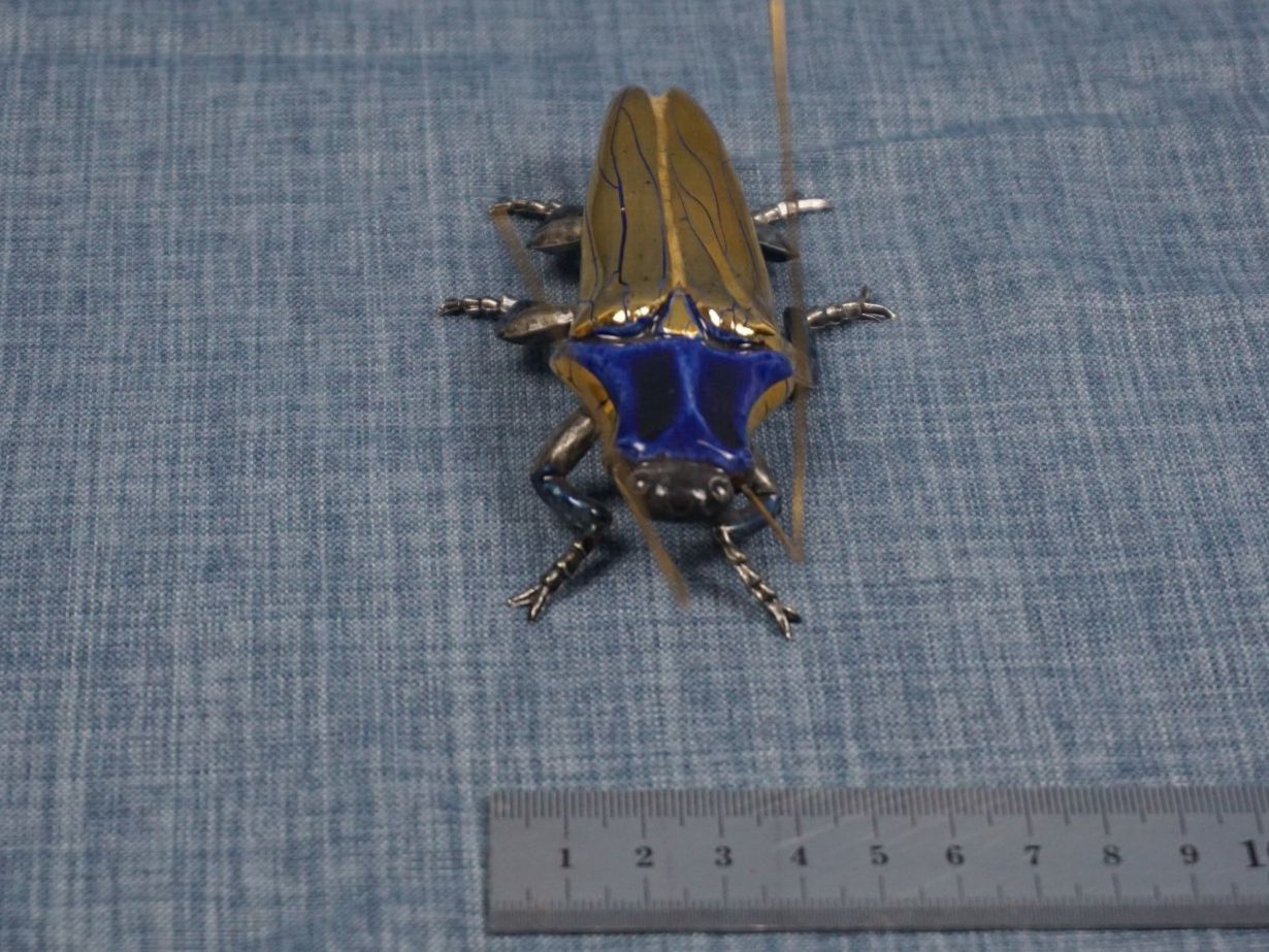 Alle Dekorationen: Käfer blau goldfarben – Neu (gemäss Beschreibung) aus Diessbach b. Büren von Crocharry 5