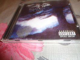 Staind - Break the Cycle CD