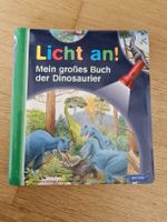 Licht an! Mein grosses Dino-Buch