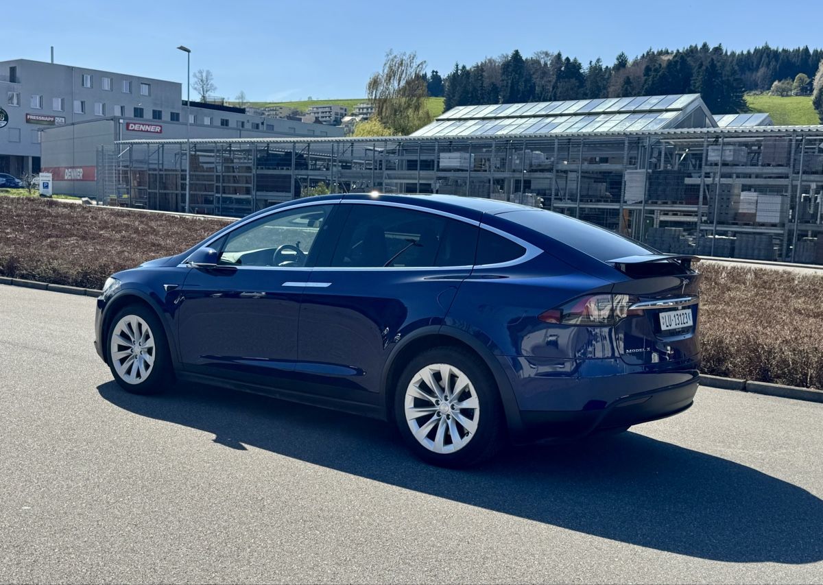 Tesla Automobili: Tesla Model X 100 D 7 Plätzer sehr selten – Usato da Nebikon venduto da kau_2bfl 9