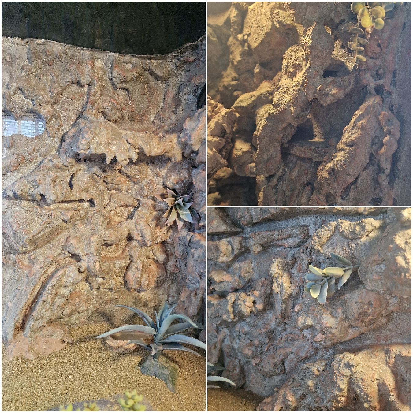 Terrario: Terrarium mit Zubehör – Usato da Siblingen venduto da Siblinger_2019 3