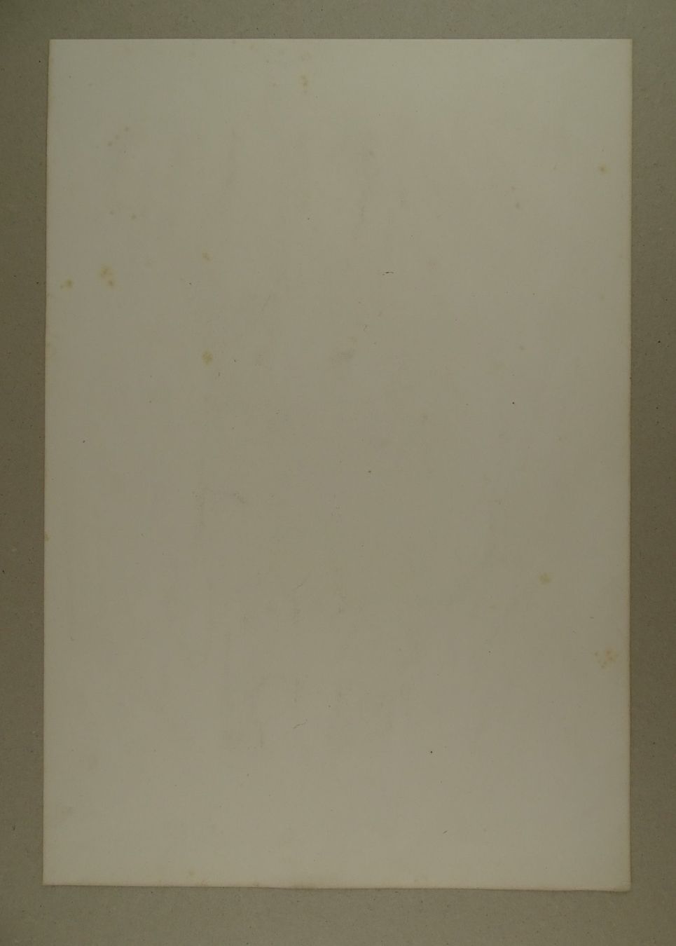 Stiche: ROSE TREMIÈRE, LITHOGRAPHIE UM 1850 – Gebraucht aus Grüningen von Kartensammler 6