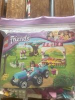 Lego Friends 41026