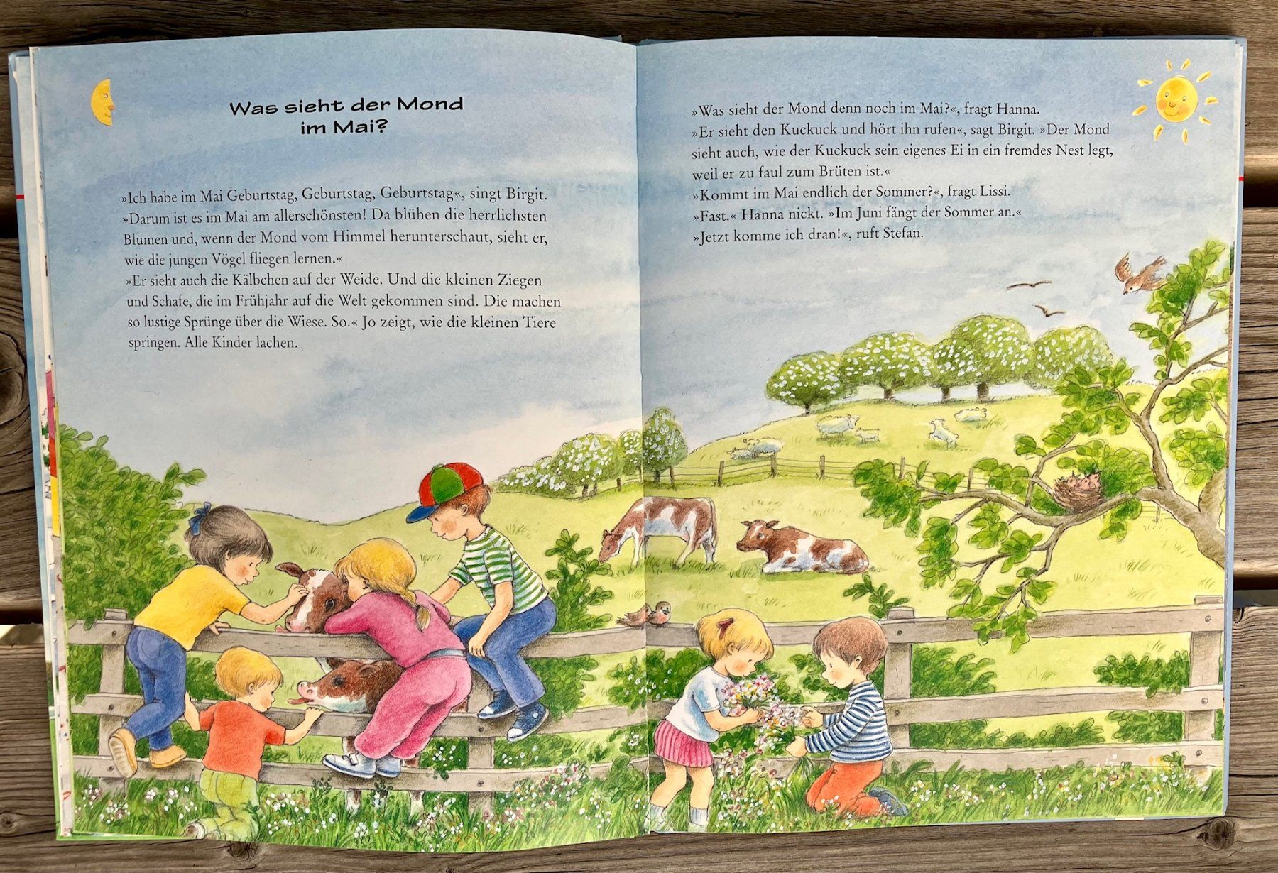 Libri: 12 Monate hat das Jahr – Usato da Winterthur venduto da Barunggeli 6