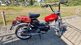 Pony 521 Cross