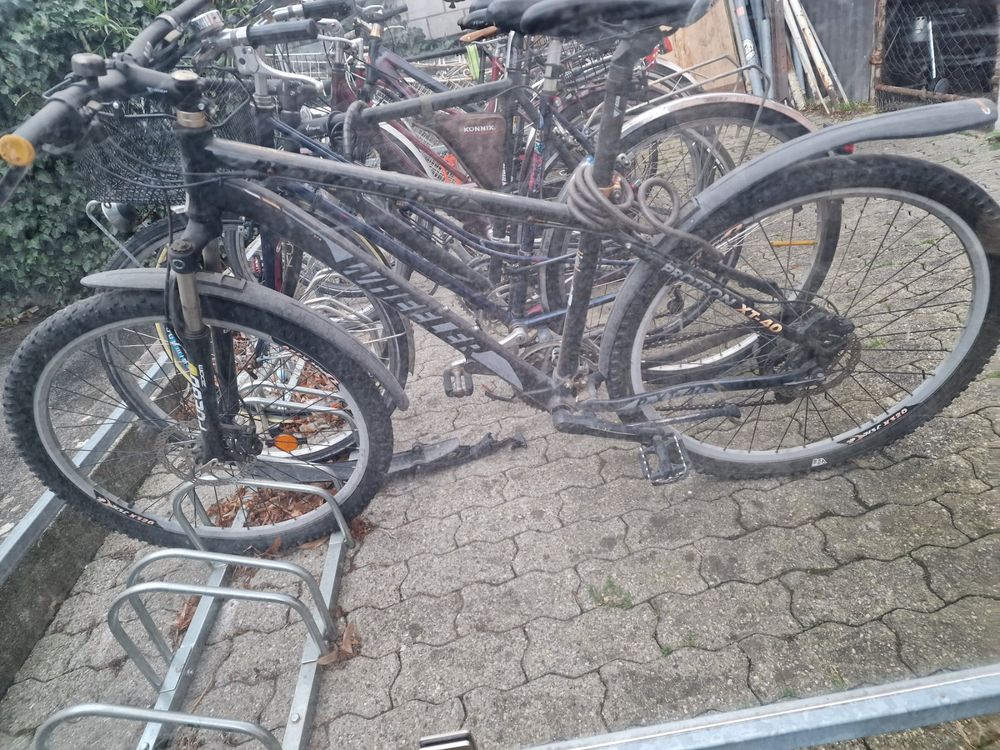 Bike Kaufen auf Ricardo