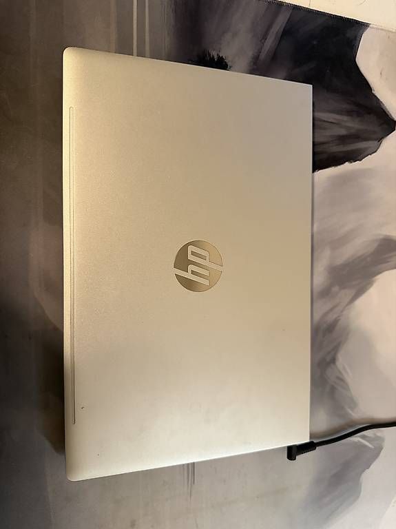 Notebook: HP ProBook 445 G8 – Usato da Zürich venduto da Vitalii7 1