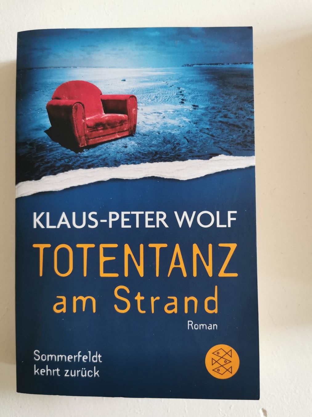 Libri: Krimi-Bundle 1. - 5 Bücher – Usato da bern venduto da jeannie_06 6