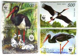 Briefmarken Schwarzstorch. Weissrussland
