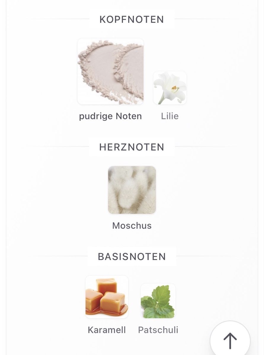 Zara Profumi & Eau de Toilette: ZARA MERINO MUSK – Usato da Itingen venduto da Julietta_79 2