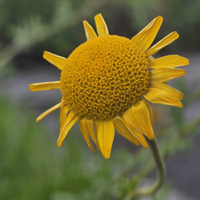 Profile image of Stab123