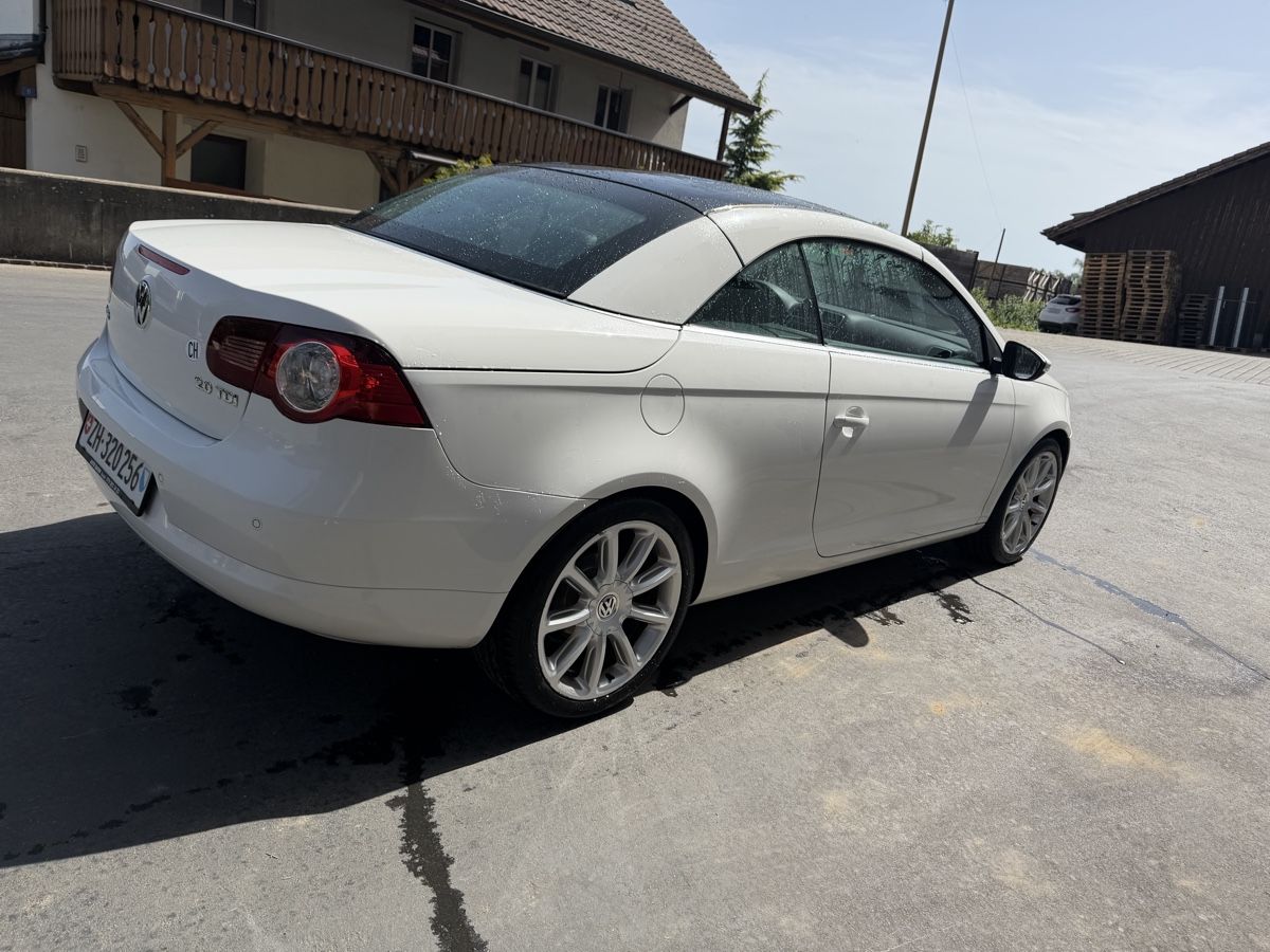 VW Automobili: VW Eos 2.0 TDI, 2010, 140 PS, Cabriolet – Usato da Sünikon venduto da gyu_x55l 3