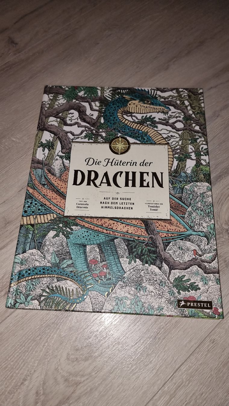 Libri: "Die Hüterin der Drachen" Großformat Neuwertig – Nuovo (secondo la descrizione) da Wigoltingen venduto da Zuckerfee84