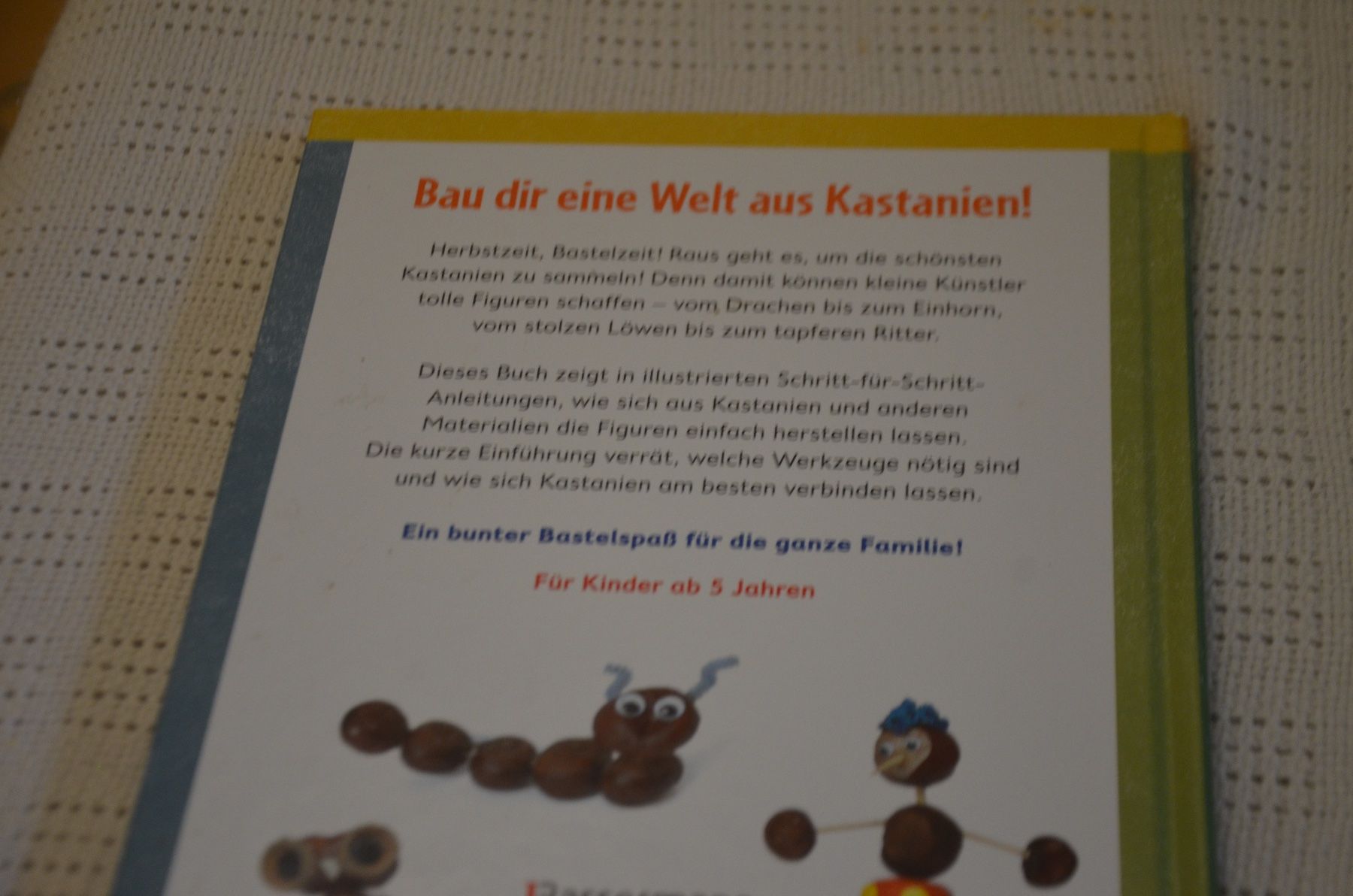 Kit bricolage: BASTELN MIT KASTANIEN BUCH – Usato da Chiasso venduto da Dolly015 1