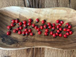50 schöne Holz Marienkäfer - Glücks-Chäferli - 1 CM - neu!!!