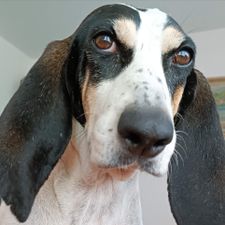 Profile image of unicuique-suum