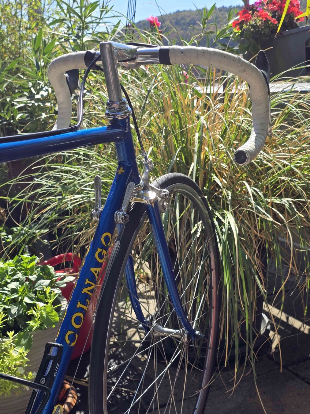 Colnago Vélos: COLNAGO Super Rennrad RH 55 – D'occasion à Stein AG par Papageno_3 6