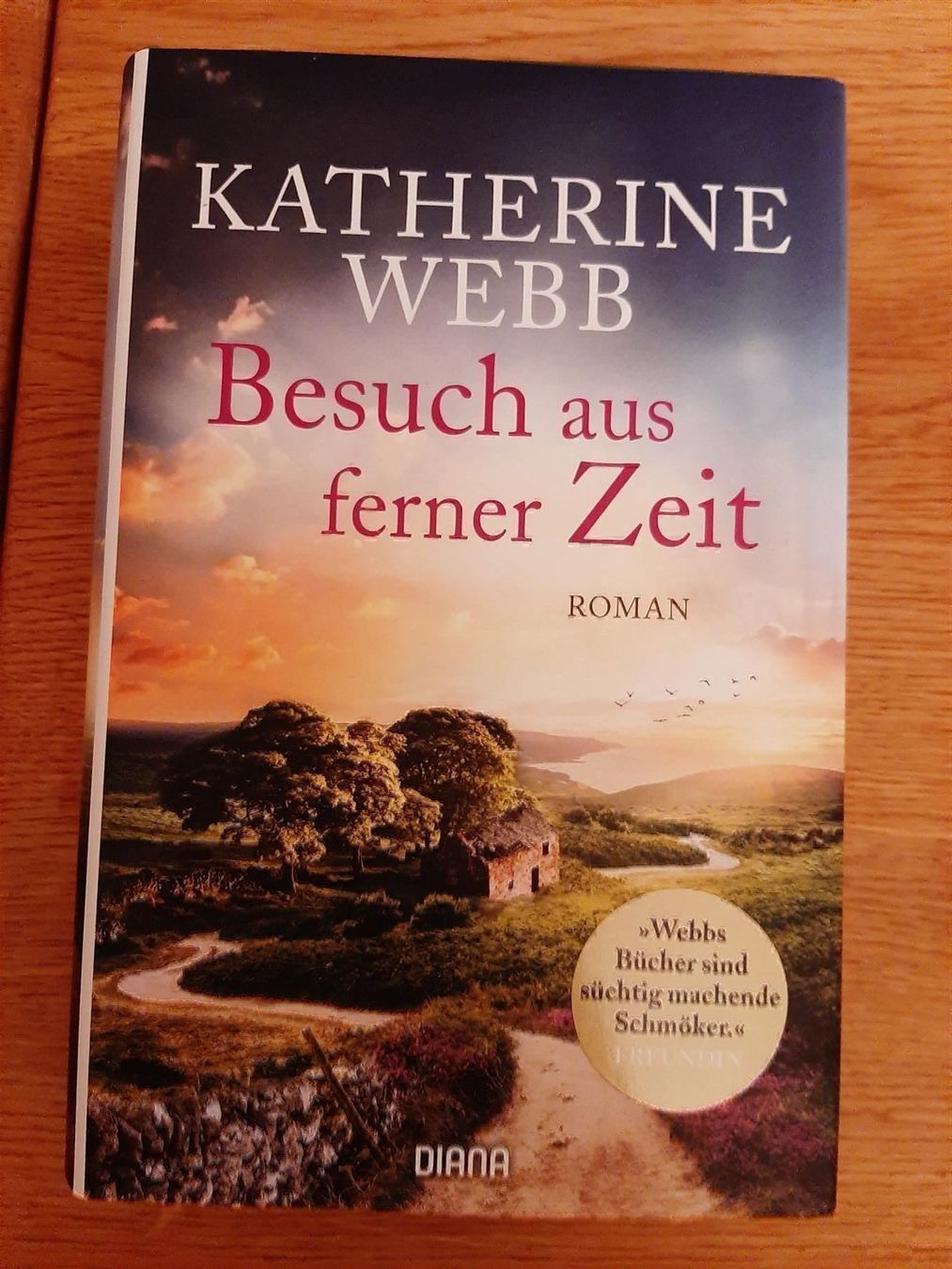 Libri: Katherine Webb Besuch aus ferner Zeit – Nuovo (secondo la descrizione) da Affoltern am Albis venduto da Sabinezc