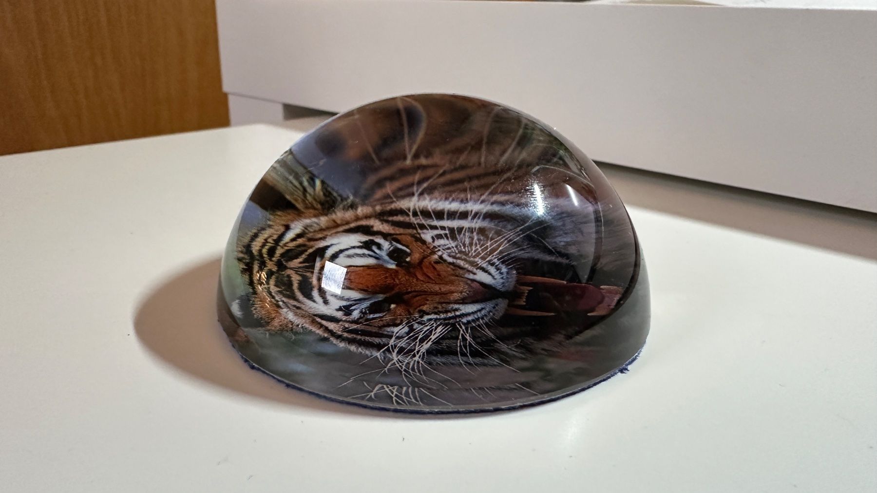 Tutte le decorazioni: Briefbeschwerer mit Tiger NEU OVP – Nuovo e nell'imballaggio originale da Arisdorf venduto da nde_q52j 2