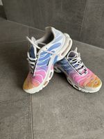 Baskets Nike Air Max Plus TN dégradé, parfaites pour l'été! 