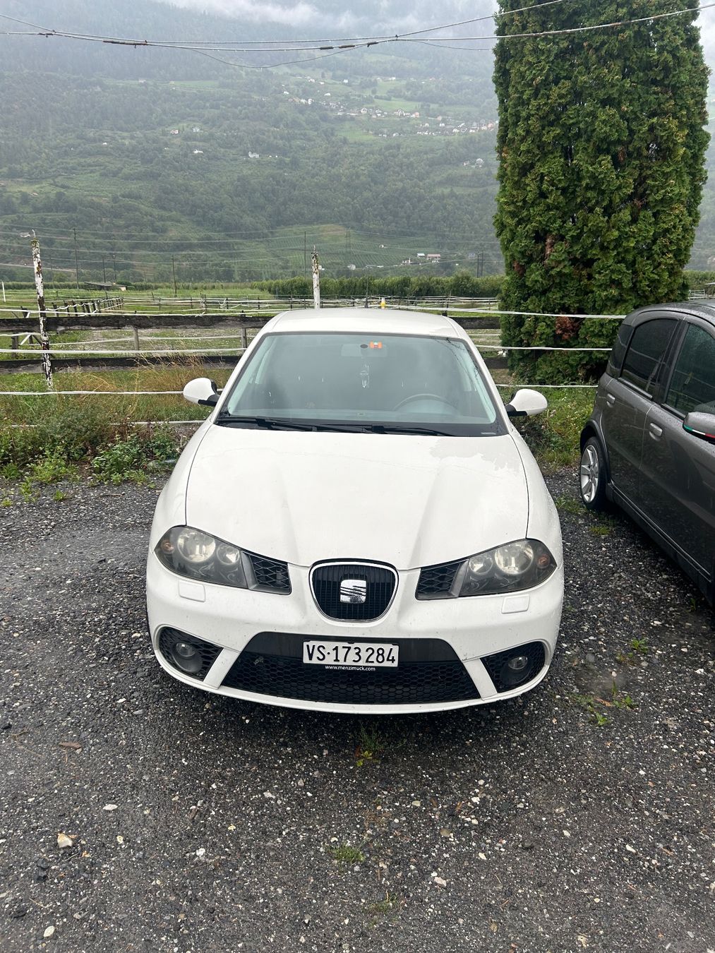 Seat Automobili: Seat Ibiza Fr – Usato da Daillon venduto da pen_cn58 1