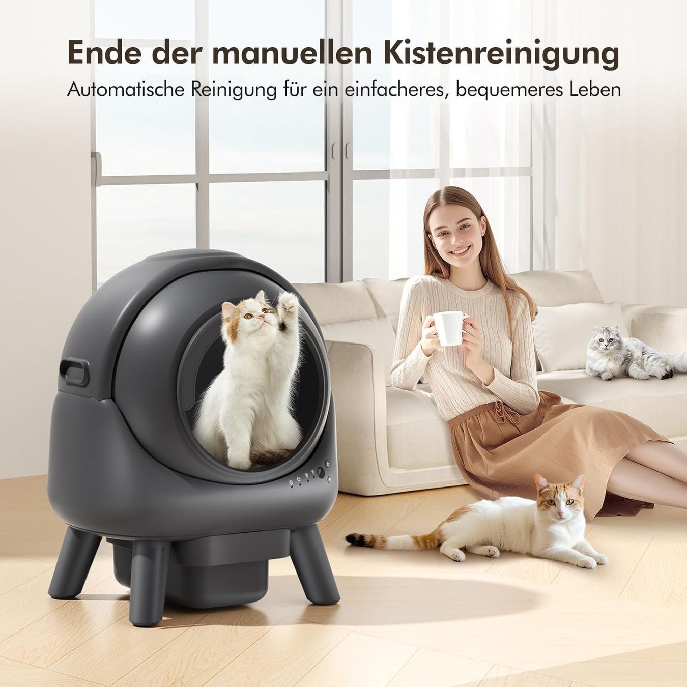 WC: NEU - Selbstreinigende Katzentoilette – Usato da Grabs venduto da applegrabs 7