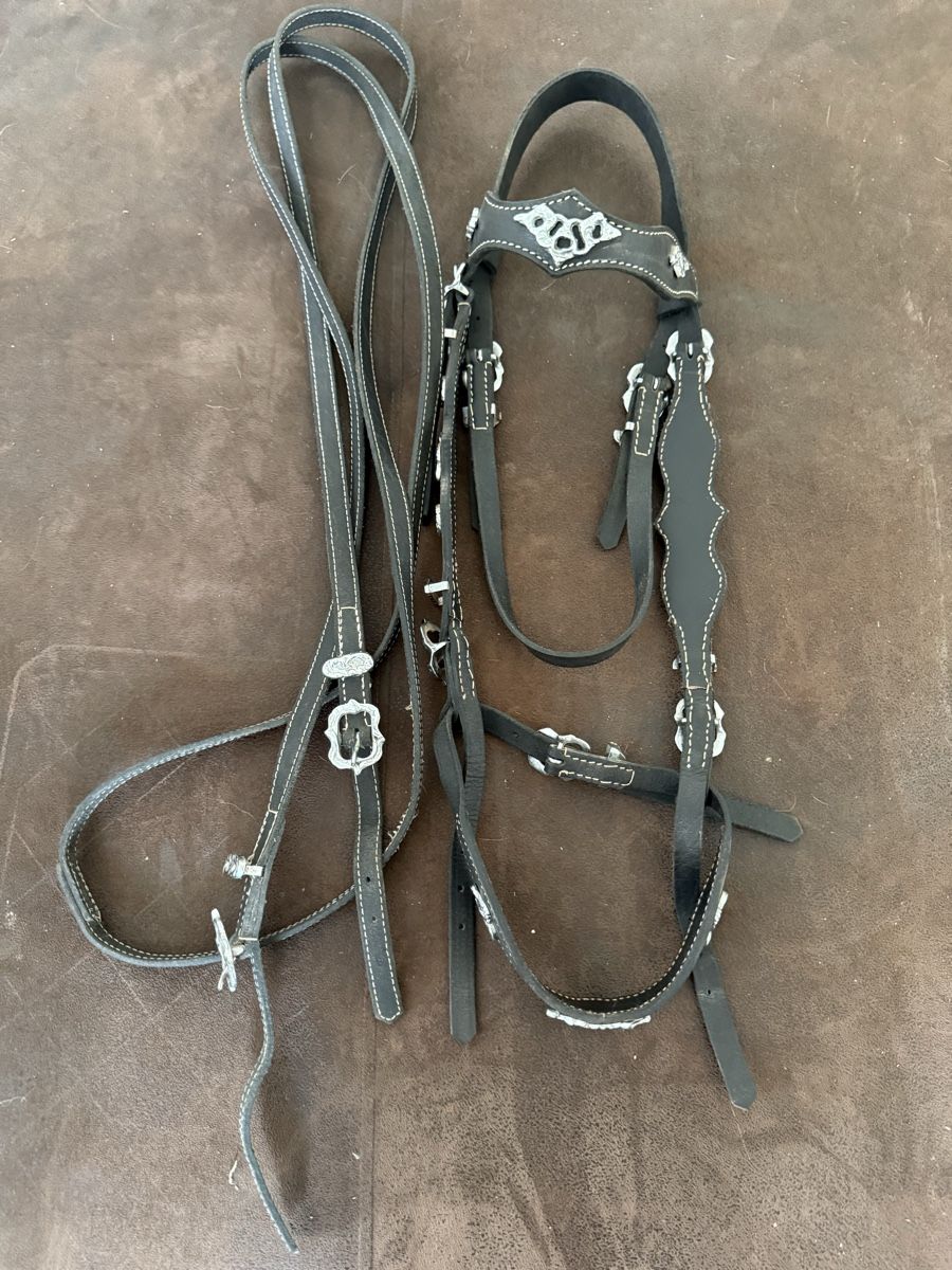 Brides, licols: Prunkzaum Grösse Cob/WB – D'occasion à Beinwil (Freiamt) par Lialina