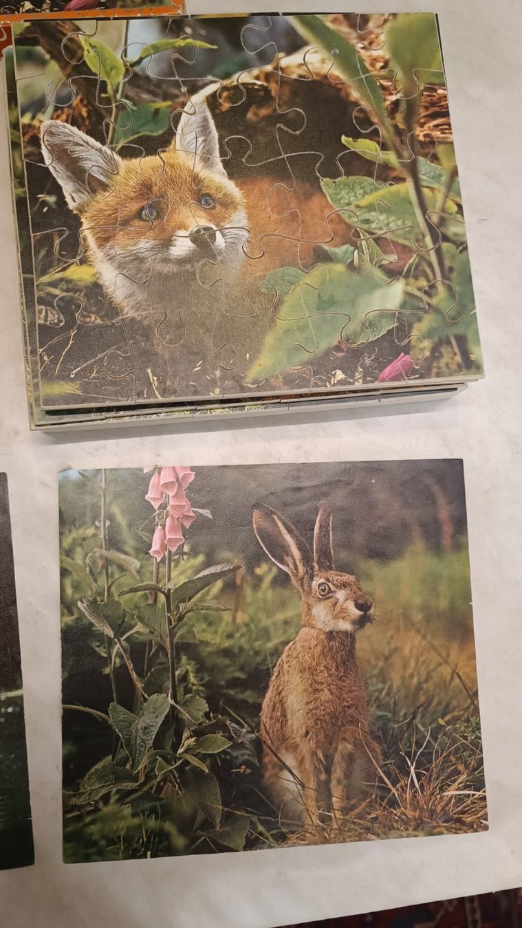 Penelope Puzzles: Penelope Puzzle 4x25 Holz Tiere – Gebraucht aus Reiden von Zofi-Brocki 2
