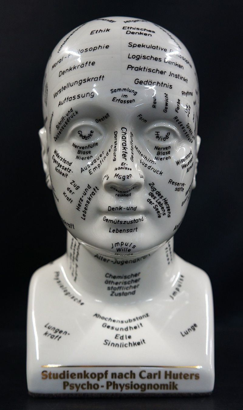 Sculture & Statue: Original Huter Studienkopf Psycho-Physiognomik – Usato da Basel venduto da bk_brockibasel
