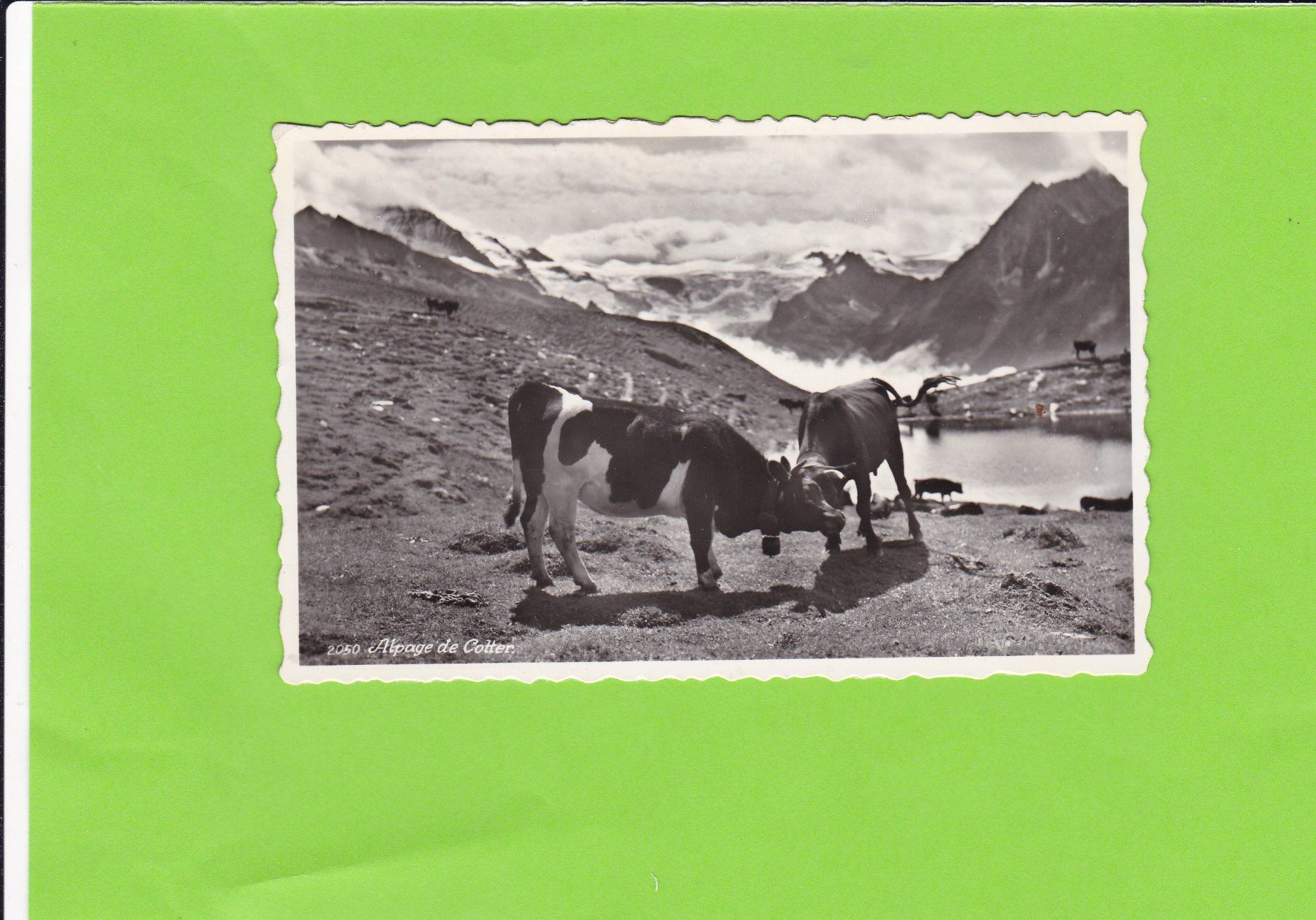 Cartoline postali: Kessiboden – Usato da St. Peterzell venduto da neckertal