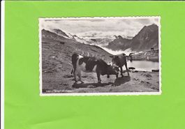 Kessiboden