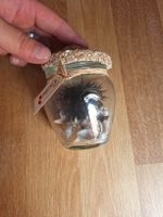 Glas mit Muscheln und Seeigel