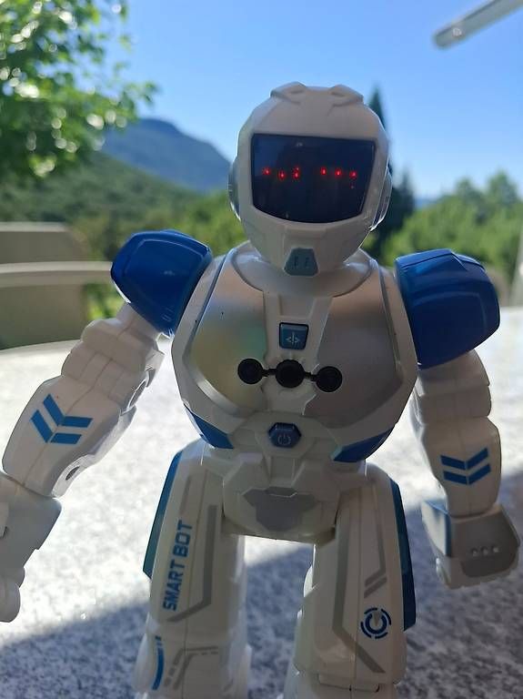 RC Modellbau: Robot telecomandato Smart Bot – Gebraucht aus Lopagno von cmo_2gtf 2
