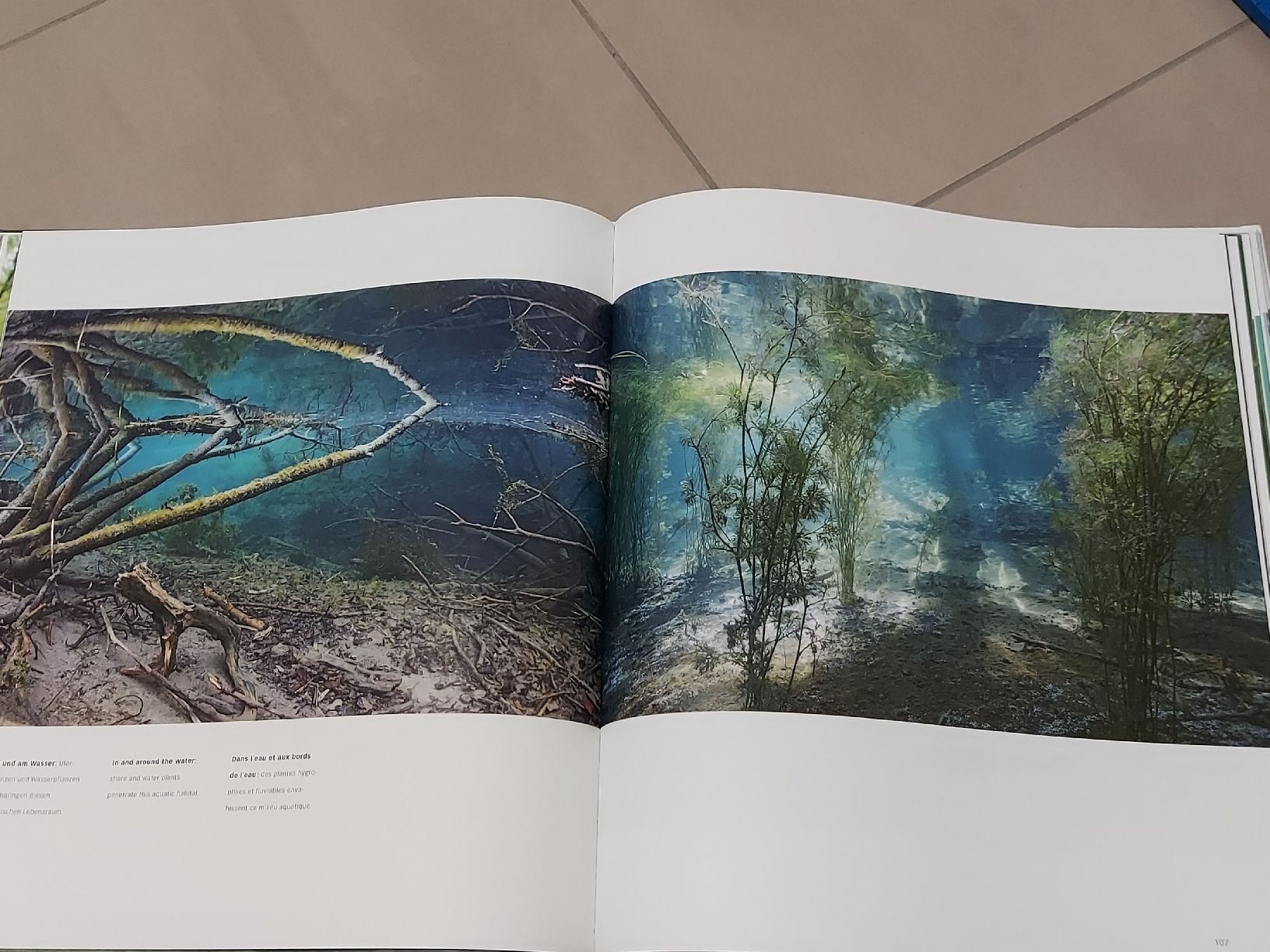 Livres: Wasser.Schweiz – D'occasion à Gossau SG par Iandolo 4