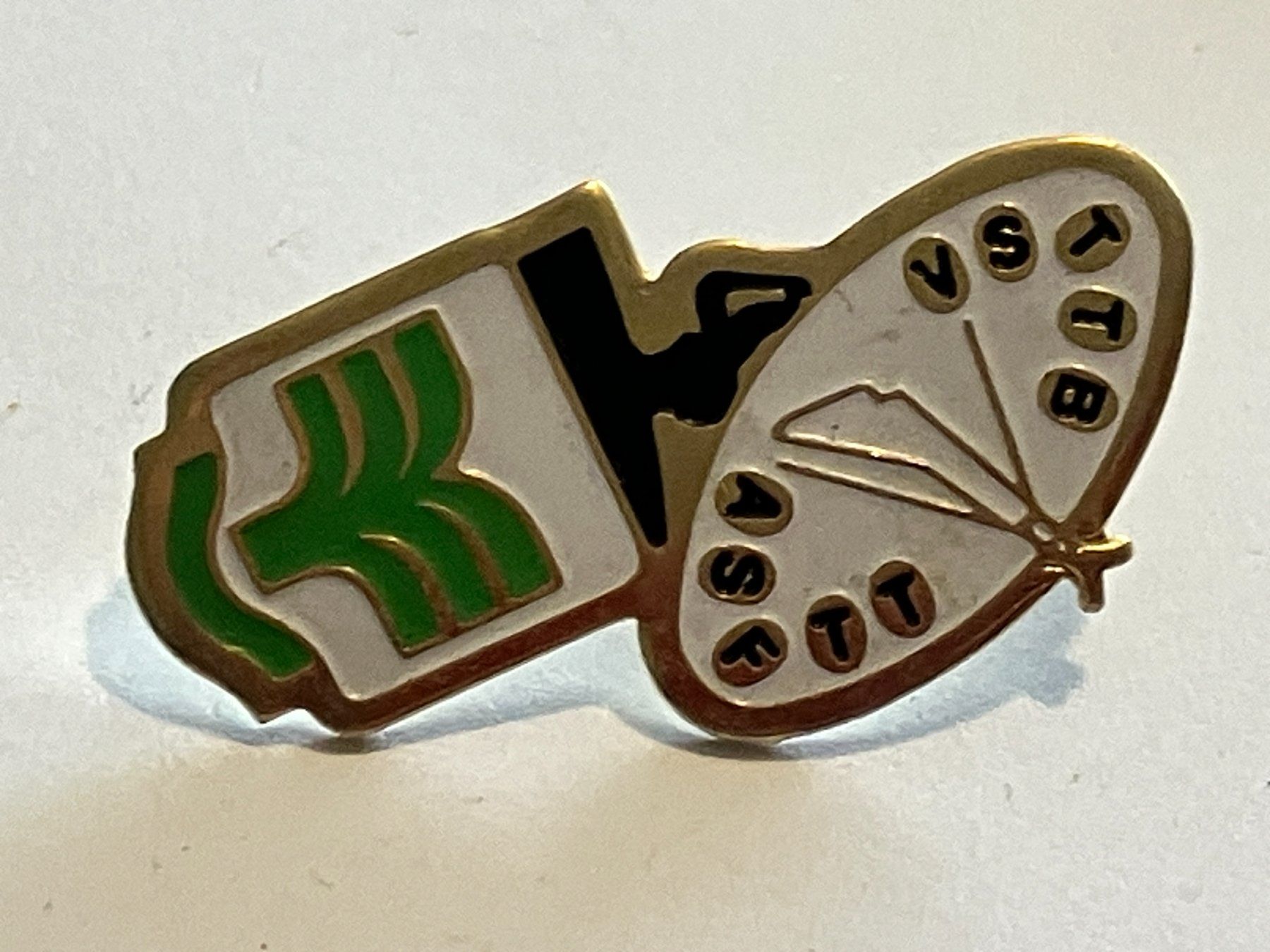 Plaquettes & Badges: 1 Pin VSTTB ASFTT – D'occasion à Basel par djwwpp