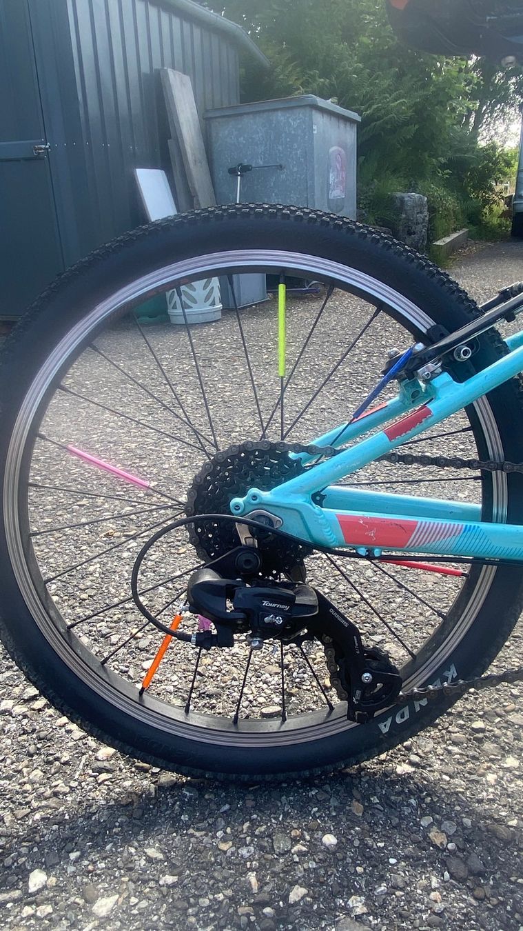 Cannondale Biciclette: Cannondale Kinderfahrrad 20 Zoll – Usato da Lüsslingen venduto da sky_walker 4