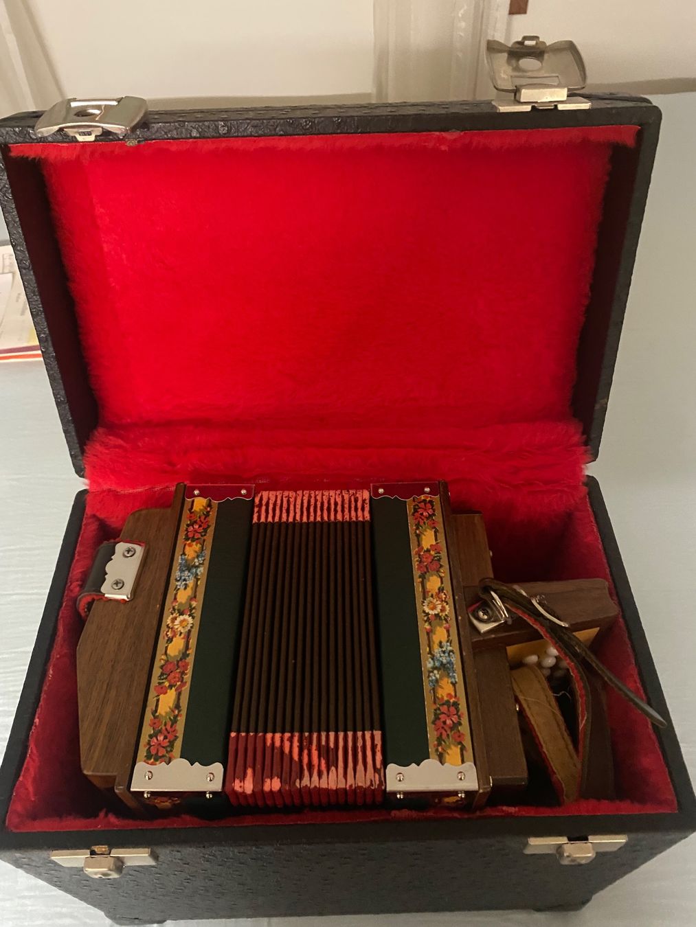 Instruments de musique: Schwyzerörgeli – D'occasion à Walenstadt par Bamsoha56 6