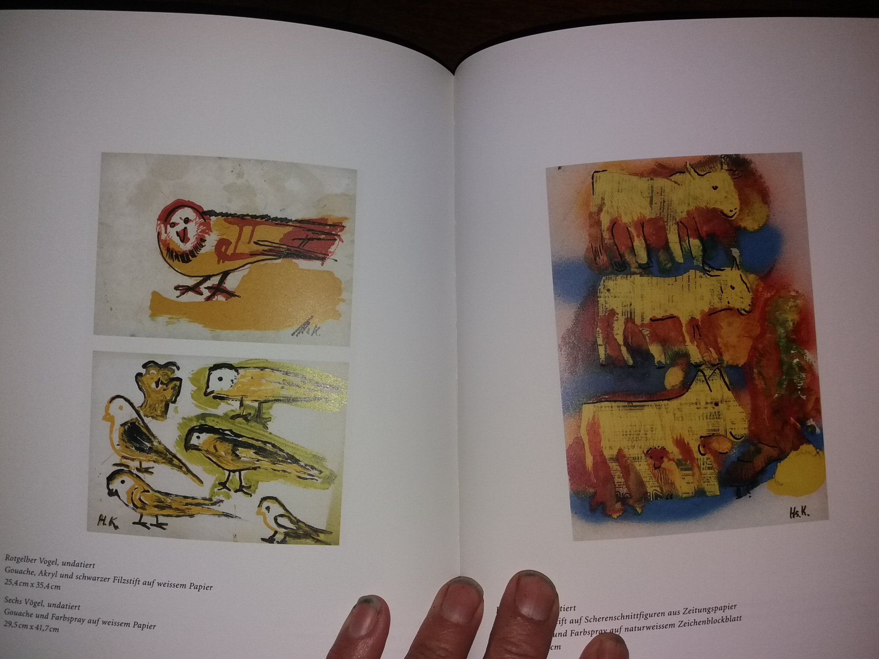 Bücher: KUNSTKLASSIKER Hans Krüsi selten – Gebraucht aus Welschenrohr von Regool 5