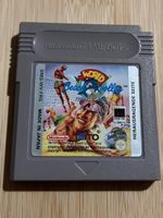 World Beach Volley Game Boy Klassiker für Sammler Taito RAR