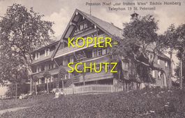 Bächli (Hemberg) - Pension Naef z. frohen Wies (belebt) /ba