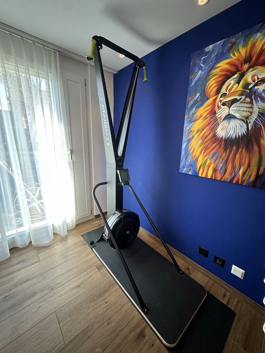 Concept 2 Hometrainer: Concept 2 Ski Machine | SkiErgometer Trainingsgerät guter Zu – Neu (gemäss Beschreibung) aus Frauenfeld von zah_2wqj