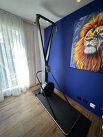 Concept 2 Ski Machine | SkiErgometer Trainingsgerät guter Zu