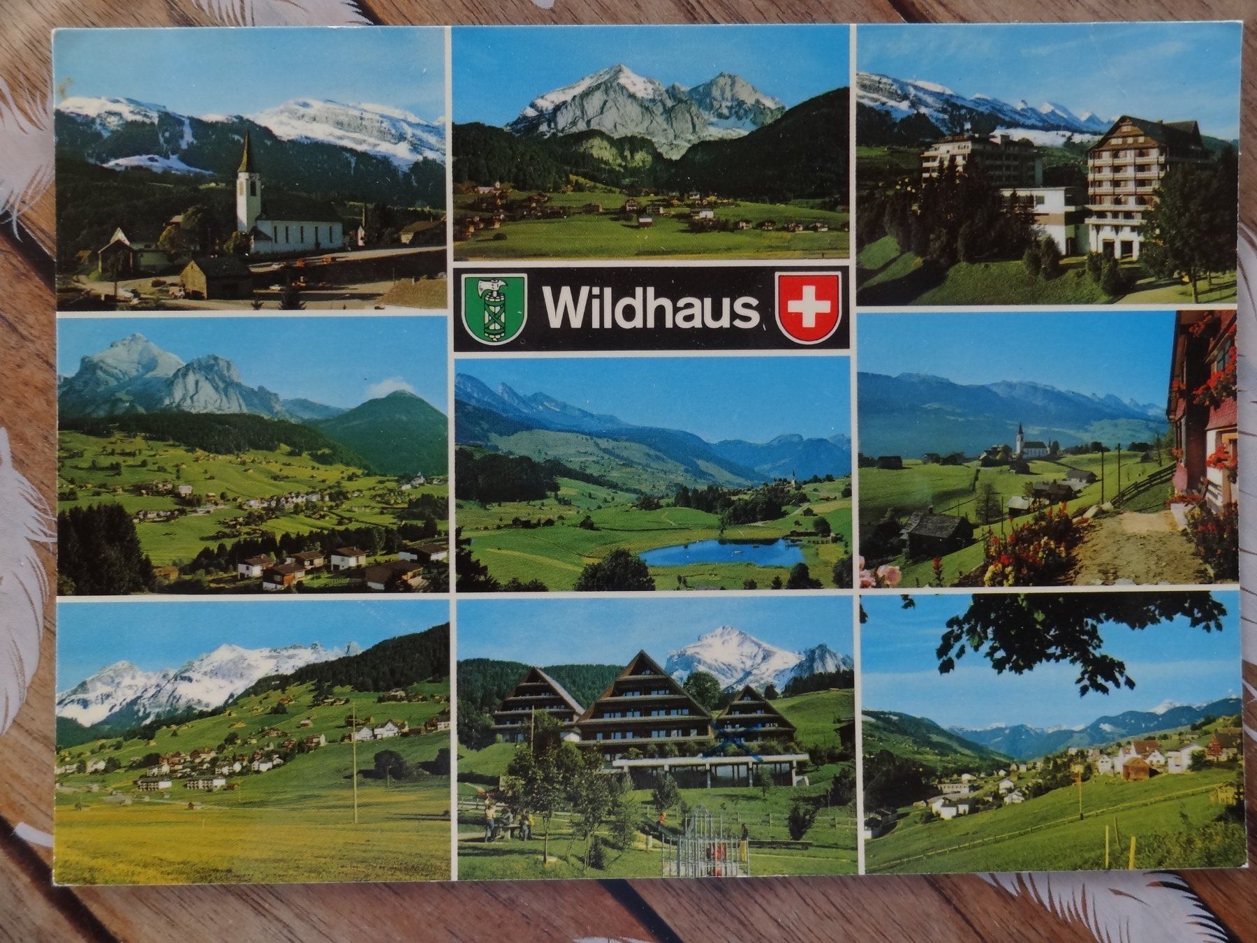 Cartoline postali: Wildhaus - SG - 1979 – Usato da St Léonard venduto da Riglin