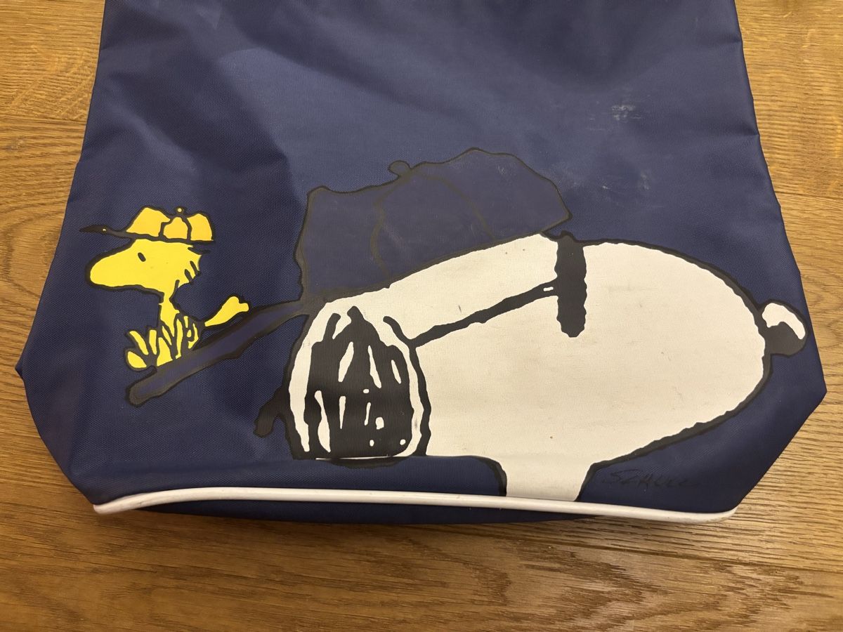 Borse: Snoopy Tasche – Usato da Würenlos venduto da Ashley24 6